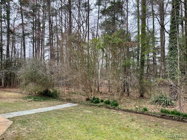 8608 Sunnygrove Road Chesterfield, VA 23832 - Photo 31 of 35 Gallery Image 31