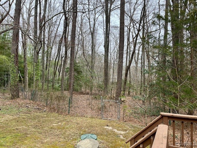 8608 Sunnygrove Road Chesterfield, VA 23832 - Photo 33 of 35 Gallery Image 33