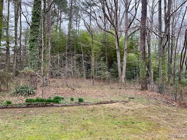 8608 Sunnygrove Road Chesterfield, VA 23832 - Photo 34 of 35 Gallery Image 34