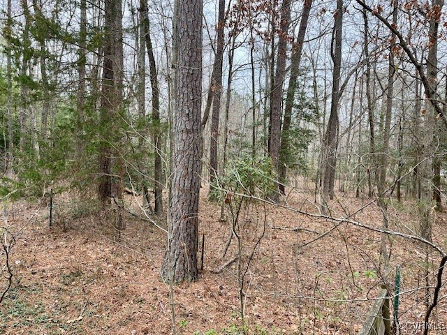 8608 Sunnygrove Road Chesterfield, VA 23832 - Photo 35 of 35 Gallery Image 35