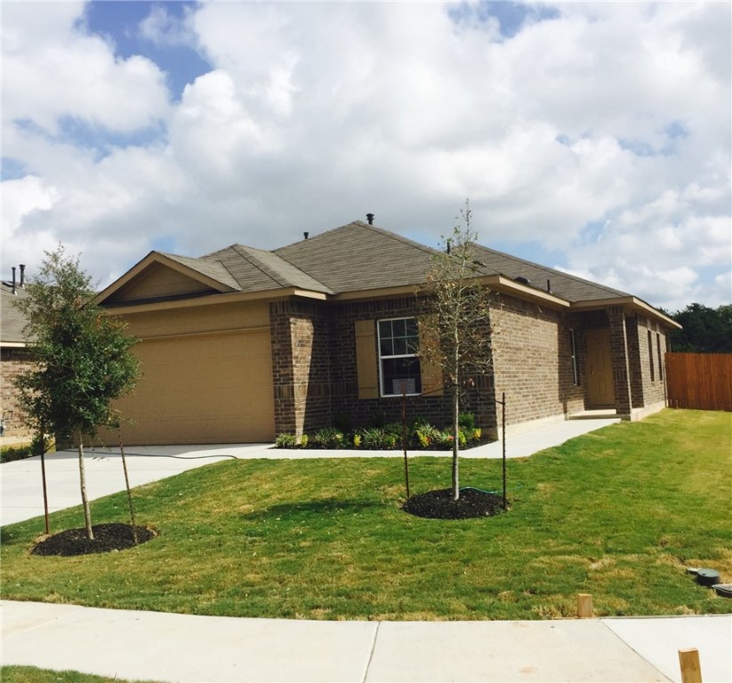 a backyard of a house with potted plants and a large tree