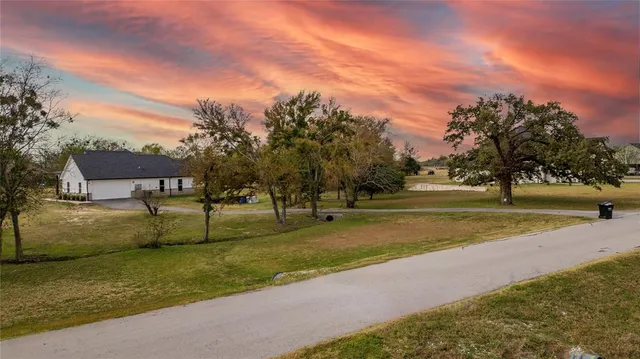 a view of a park with large trees