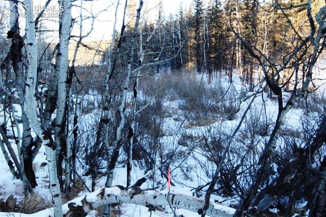 5523 N Road Divide, CO 80814 - Photo 8 of 16 Section of Mountain valley bordering Skycrest Court. (North boundary)