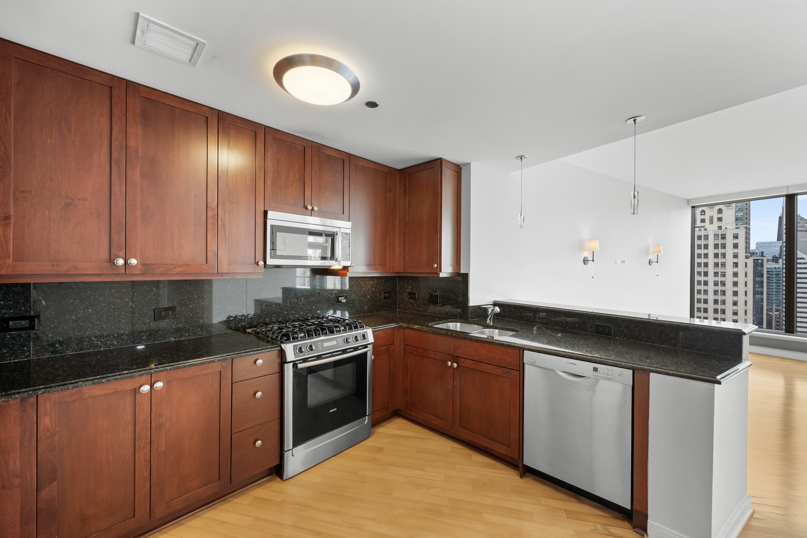 60 East Monroe Street, Unit 3808 Chicago, IL 60603 - Photo 5 of 26