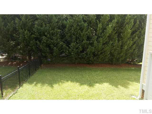 3200 Canes Way Raleigh, NC 27614 - Photo 25 of 25 Back Yard