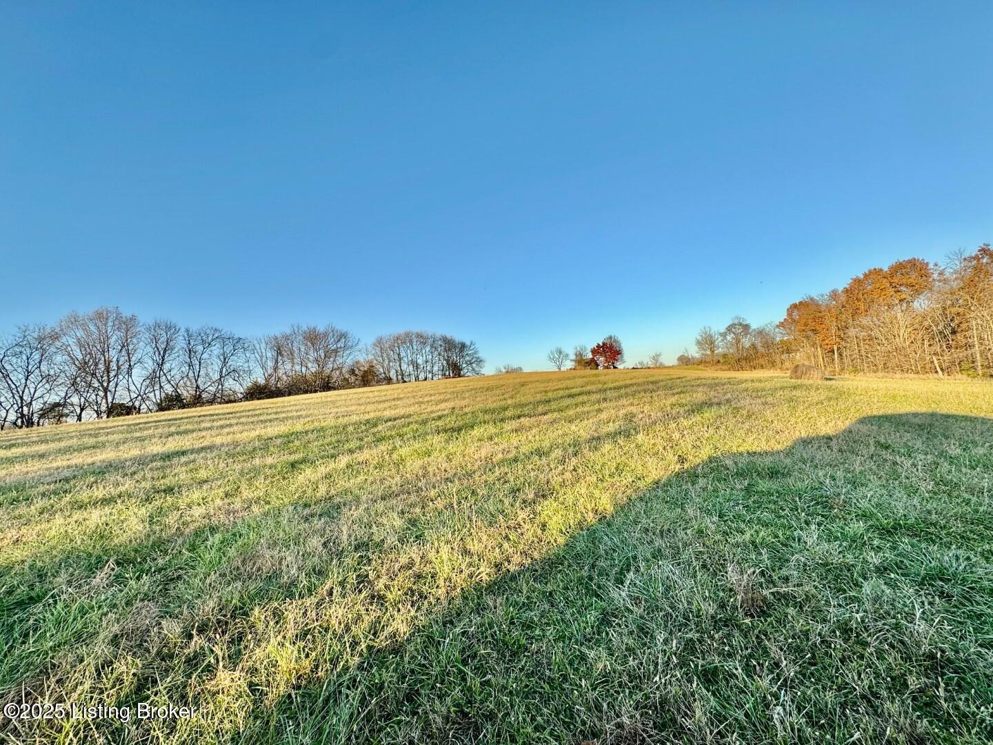 2551 Polin-Hardesty-Litsey Road Springfield, KY 40069 - Photo 5 of 6 IMG_5150 (Large)
