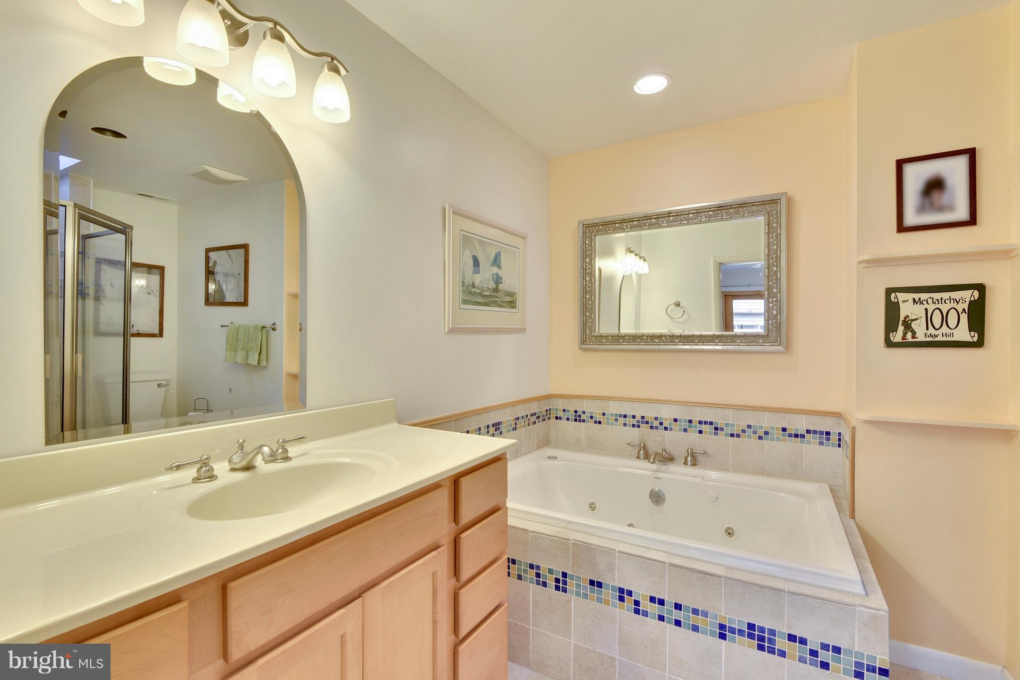 309 Fourth Street Annapolis, MD 21403 - Photo 12 of 30 a bathroom with a bathtub a sink and a mirror