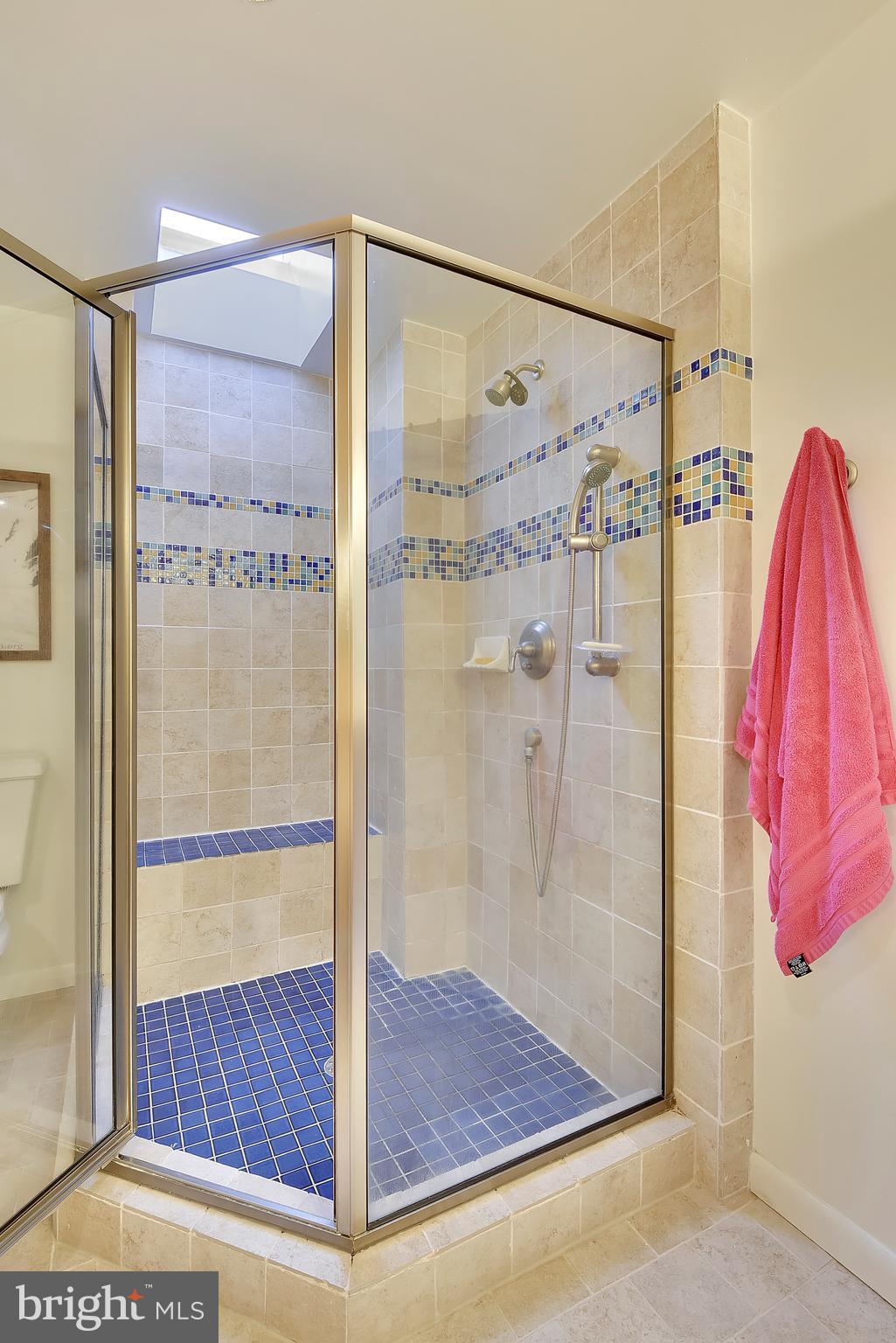309 Fourth Street Annapolis, MD 21403 - Photo 13 of 30 a bathroom with a shower