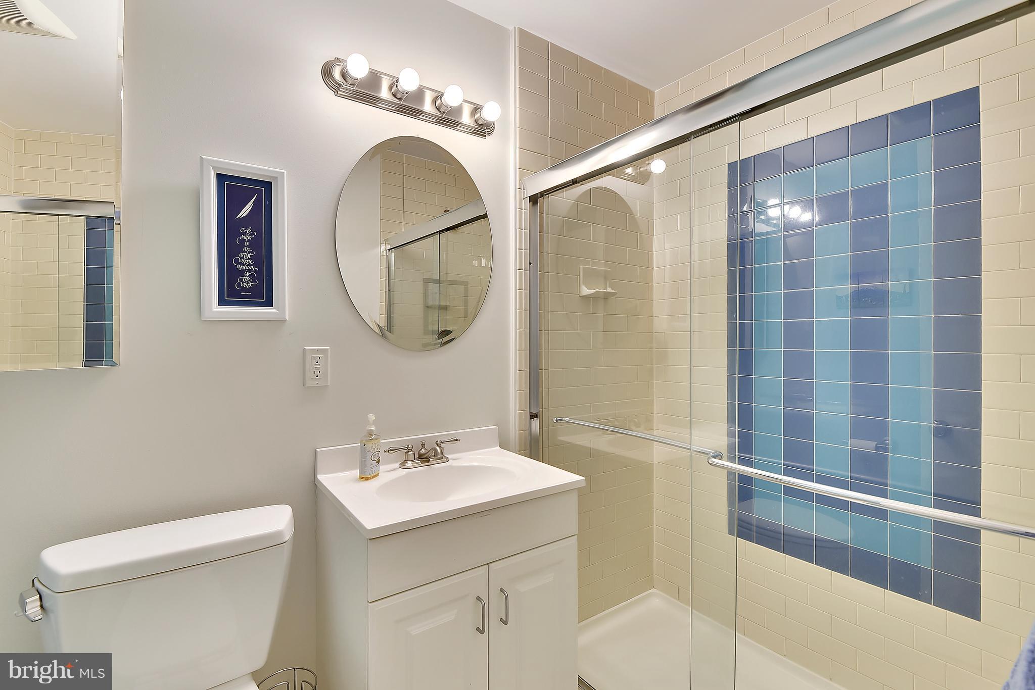 309 Fourth Street Annapolis, MD 21403 - Photo 15 of 30 a bathroom with a sink mirror and toilet