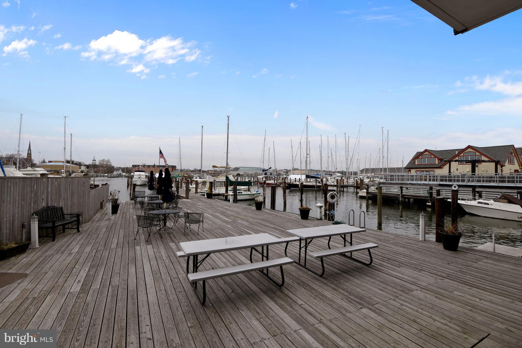 309 Fourth Street Annapolis, MD 21403 - Photo 24 of 30 a outdoor view with a sitting space