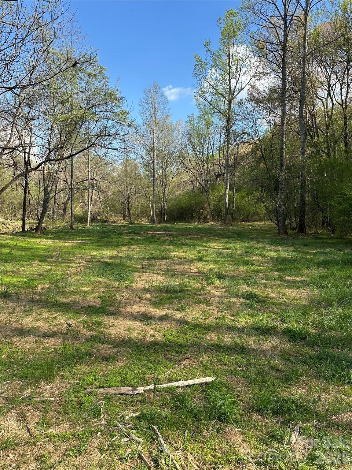 0 Stikeleather Road Hiddenite, NC 28636 - Photo 24 of 28 a view of a green field with lots of bushes