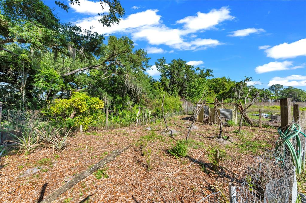 13610 Acker Road Dover, FL 33527 - Photo 26 of 53