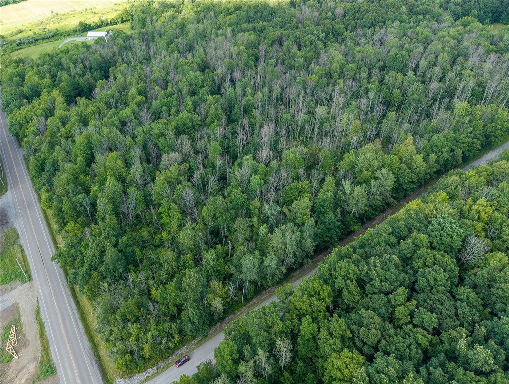 0 Stagecoach Road Conesus, NY 14435 - Photo 18 of 19 Gallery Image 18