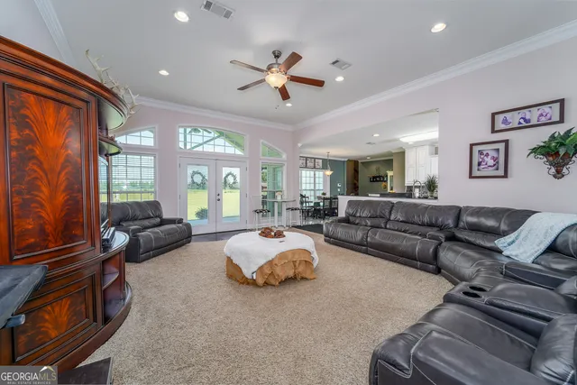 a living room with furniture ceiling fan and a rug