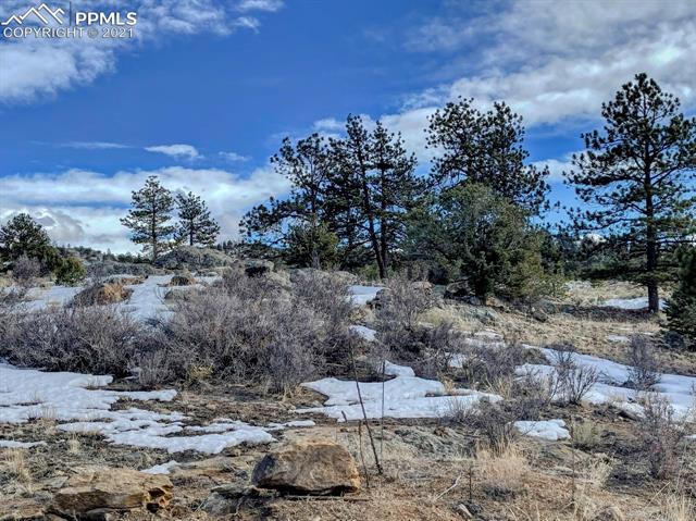 Tbd Lot 29 Tbd Road Westcliffe, CO 81252 - Photo 1 of 15 Gallery Image 1