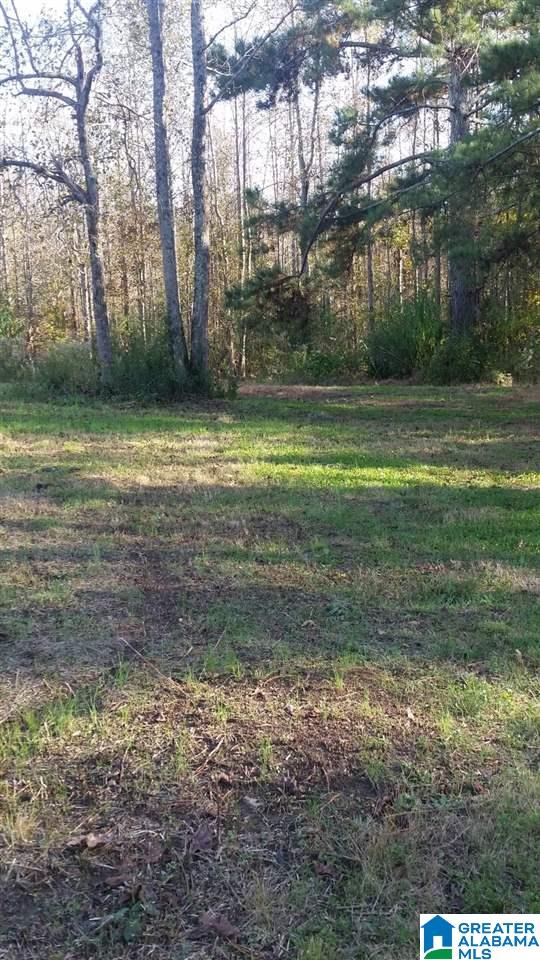 0 County Road 654 Muscadine, AL 36269 - Photo 7 of 9