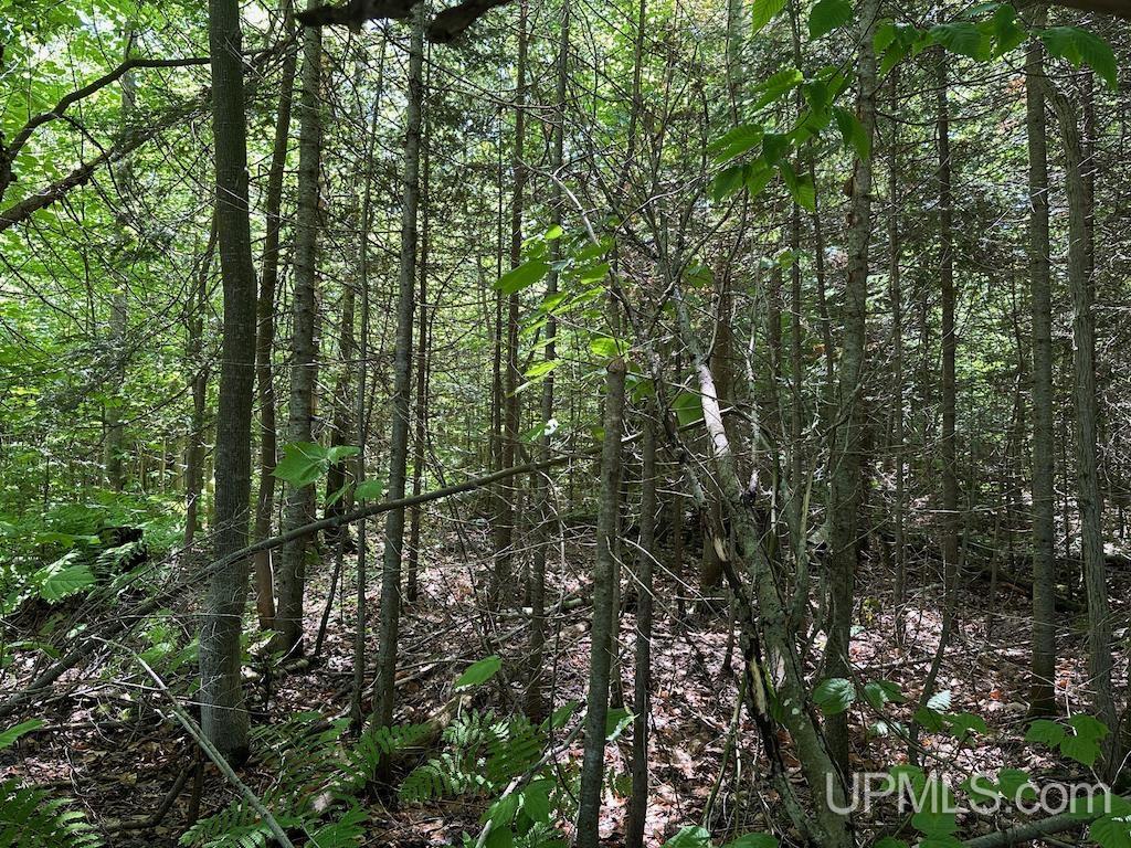 Parcel B Webb Road Grand Marais, MI 49839 - Photo 17 of 28