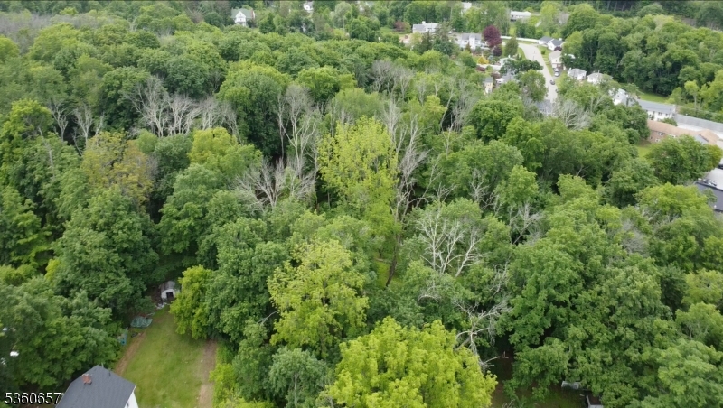 7 Cherry Street Newton, NJ 07860 - Photo 4 of 5 a view of a garden