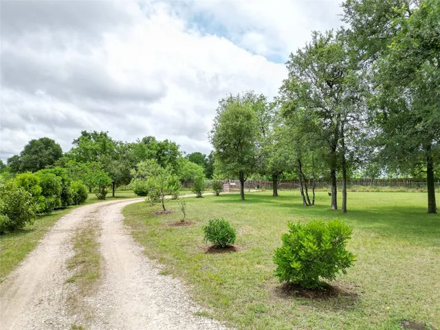 a big yard with lots of green space and plants