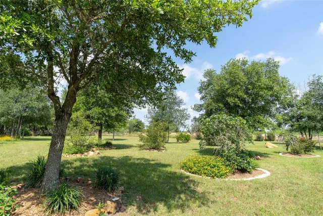 a view of backyard with green space