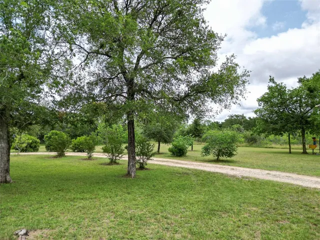 a view of field with trees