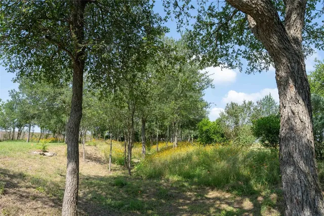 a view of a green yard