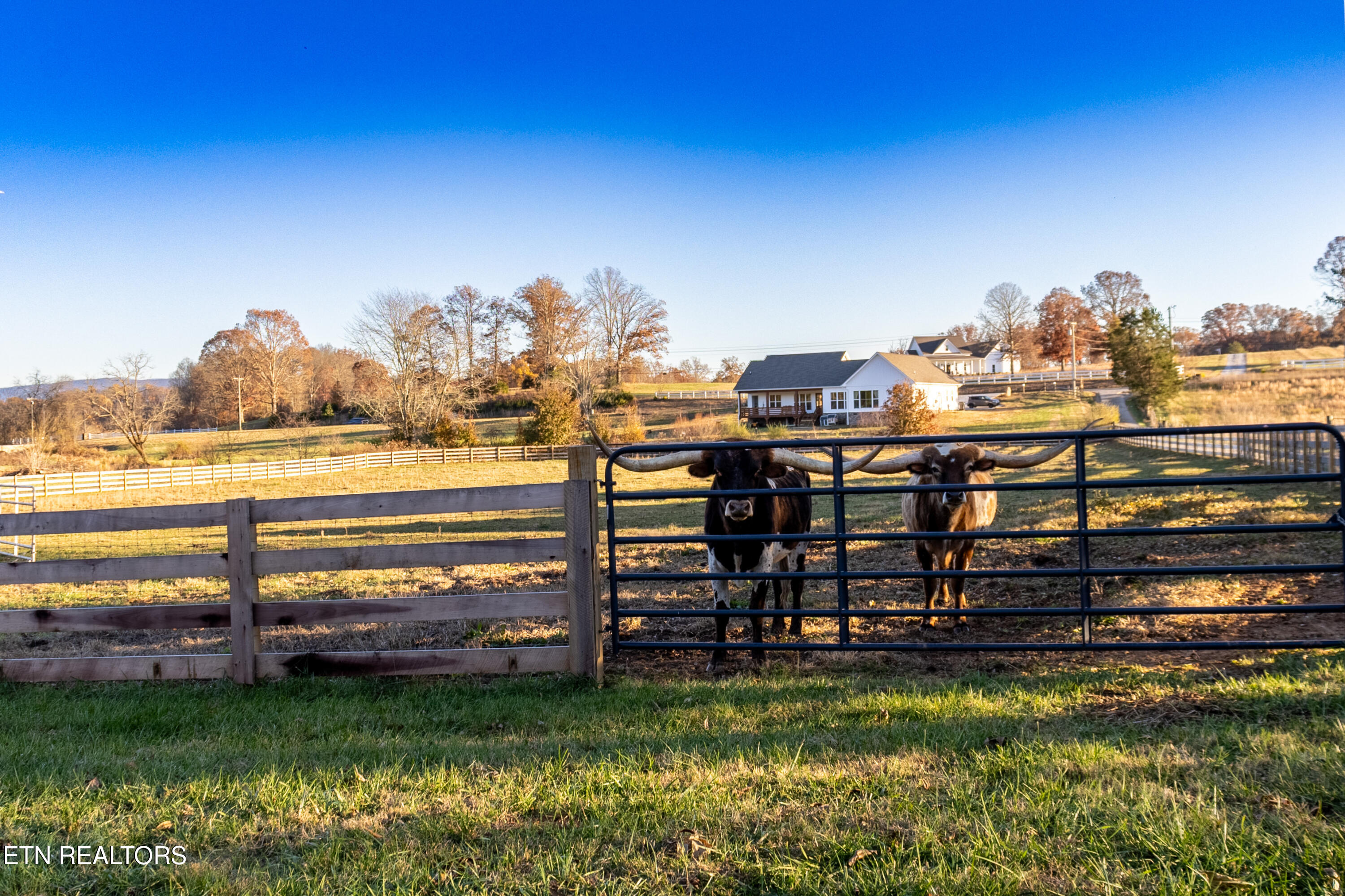6190 Morganton Road Greenback, TN 37742 - Photo 3 of 49 IMG_9246