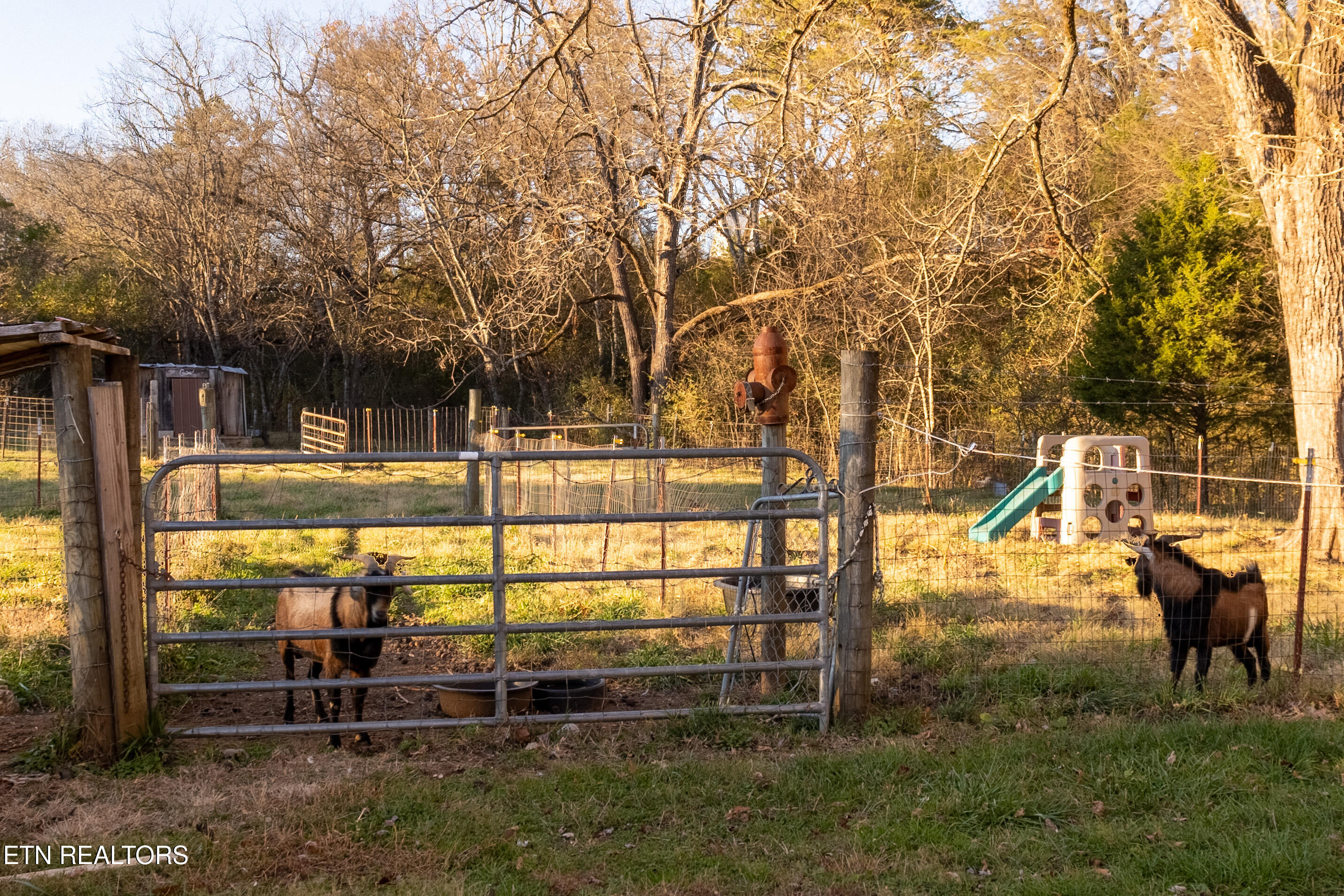 6190 Morganton Road Greenback, TN 37742 - Photo 4 of 49 IMG_9245