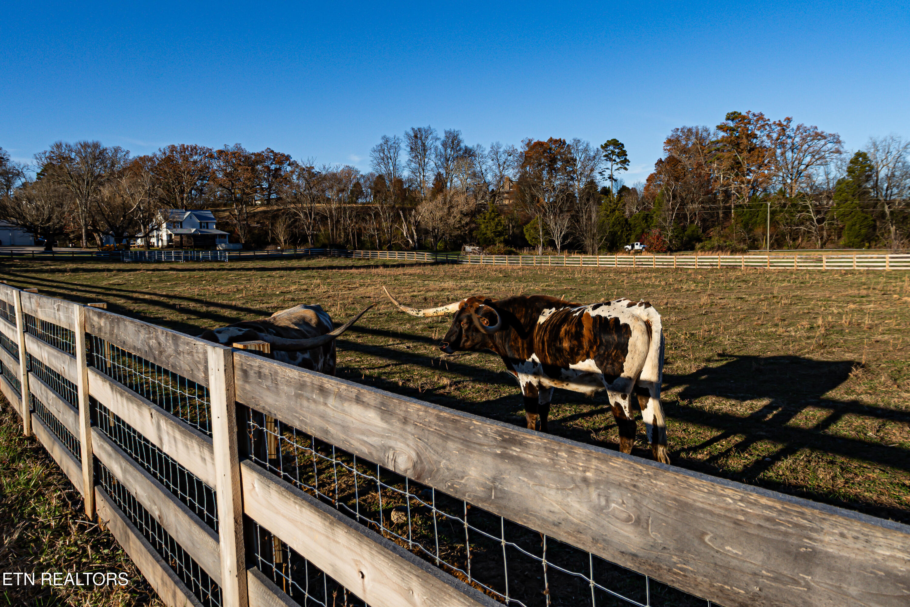 6190 Morganton Road Greenback, TN 37742 - Photo 49 of 49 IMG_9248