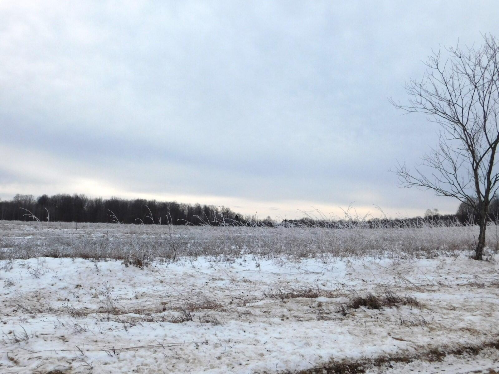 West Marker Road Grayling, MI 49738 - Photo 8 of 16 Gallery Image 8