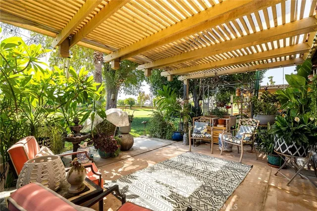 a view of a yard with a large trees