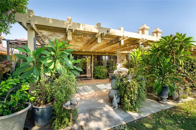 a view of a trees in a yard