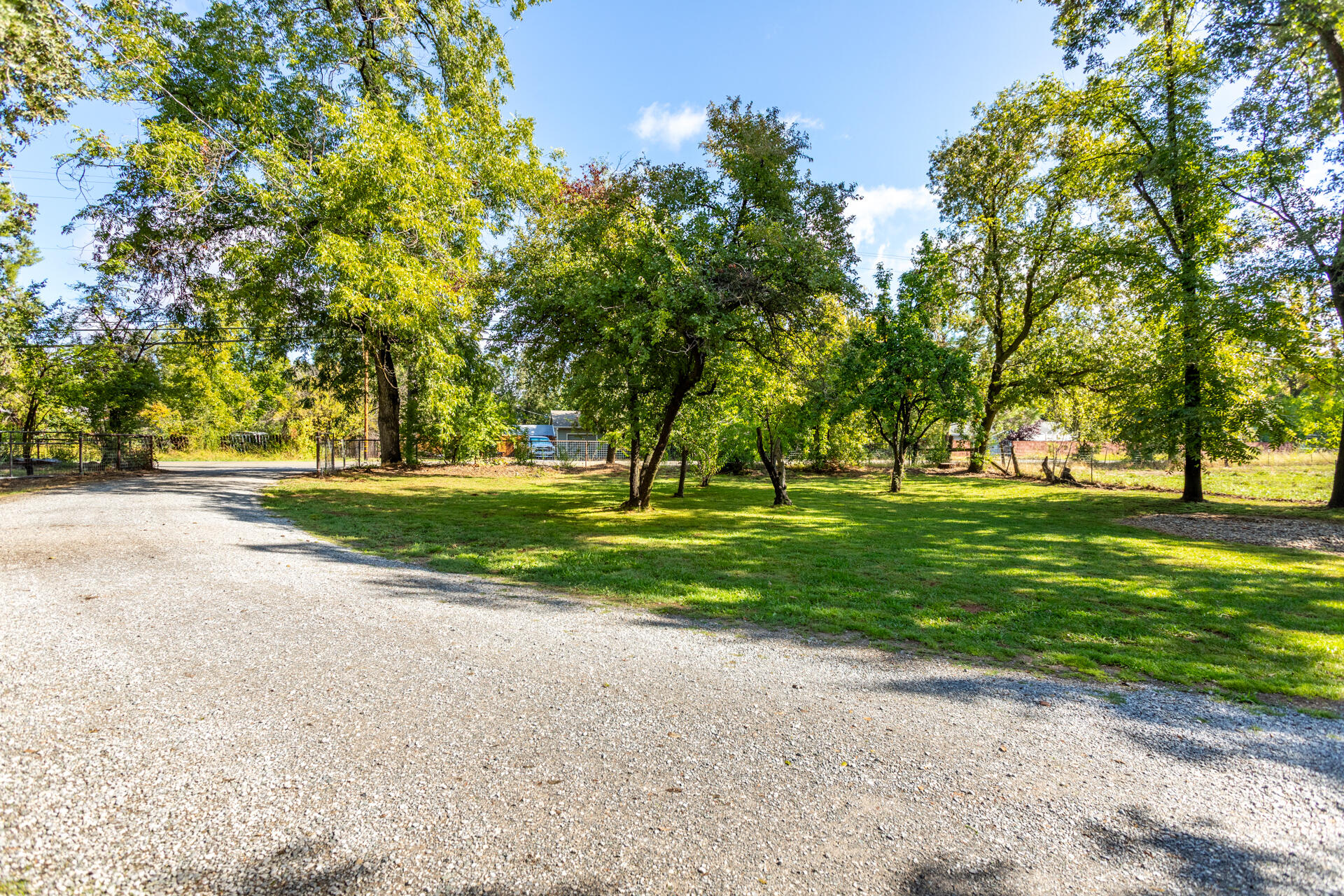 4832 Balls Ferry Road Anderson, CA 96007 - Photo 41 of 51 a huge green field with lots of trees