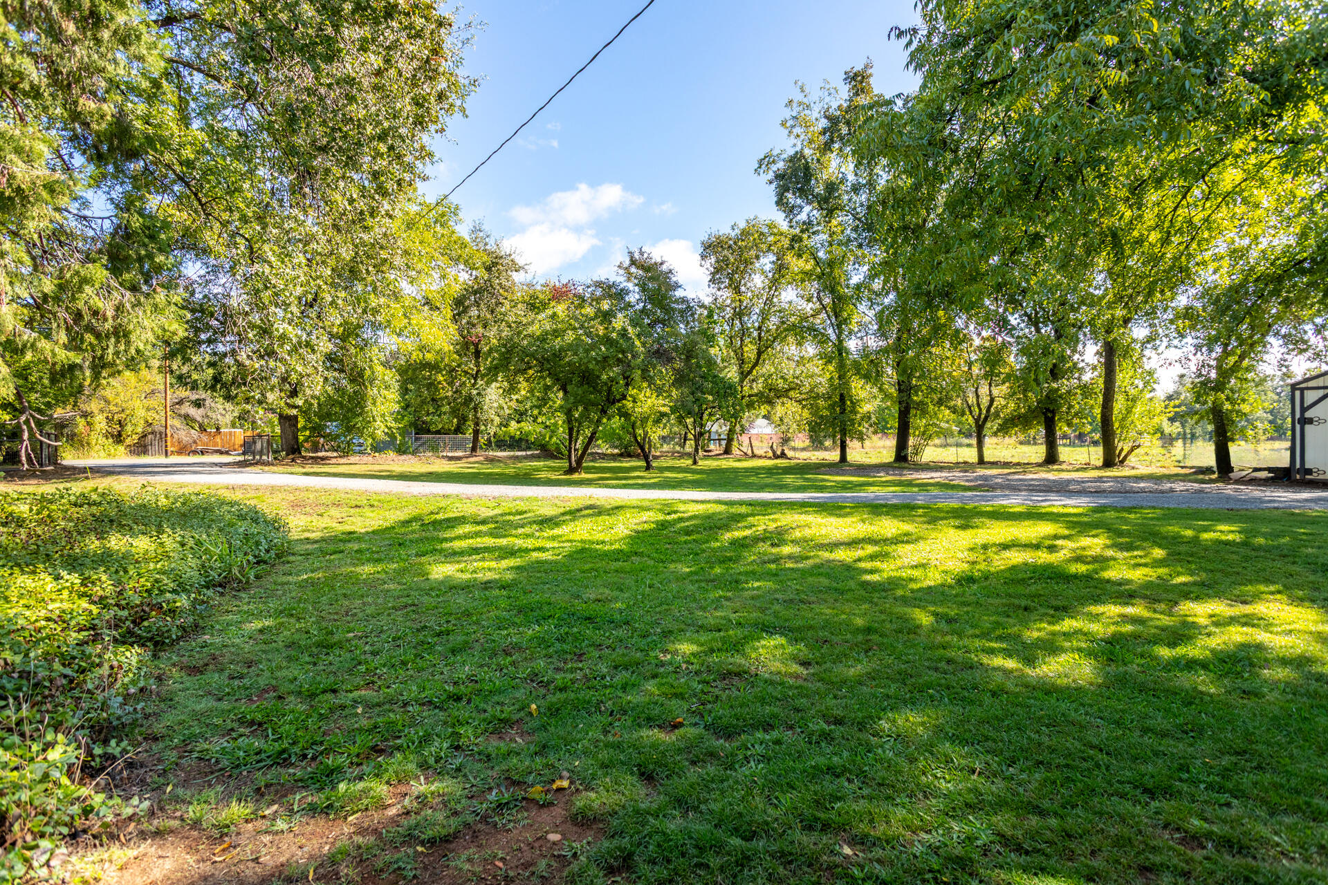 4832 Balls Ferry Road Anderson, CA 96007 - Photo 42 of 51 a view of outdoor space with trees all around