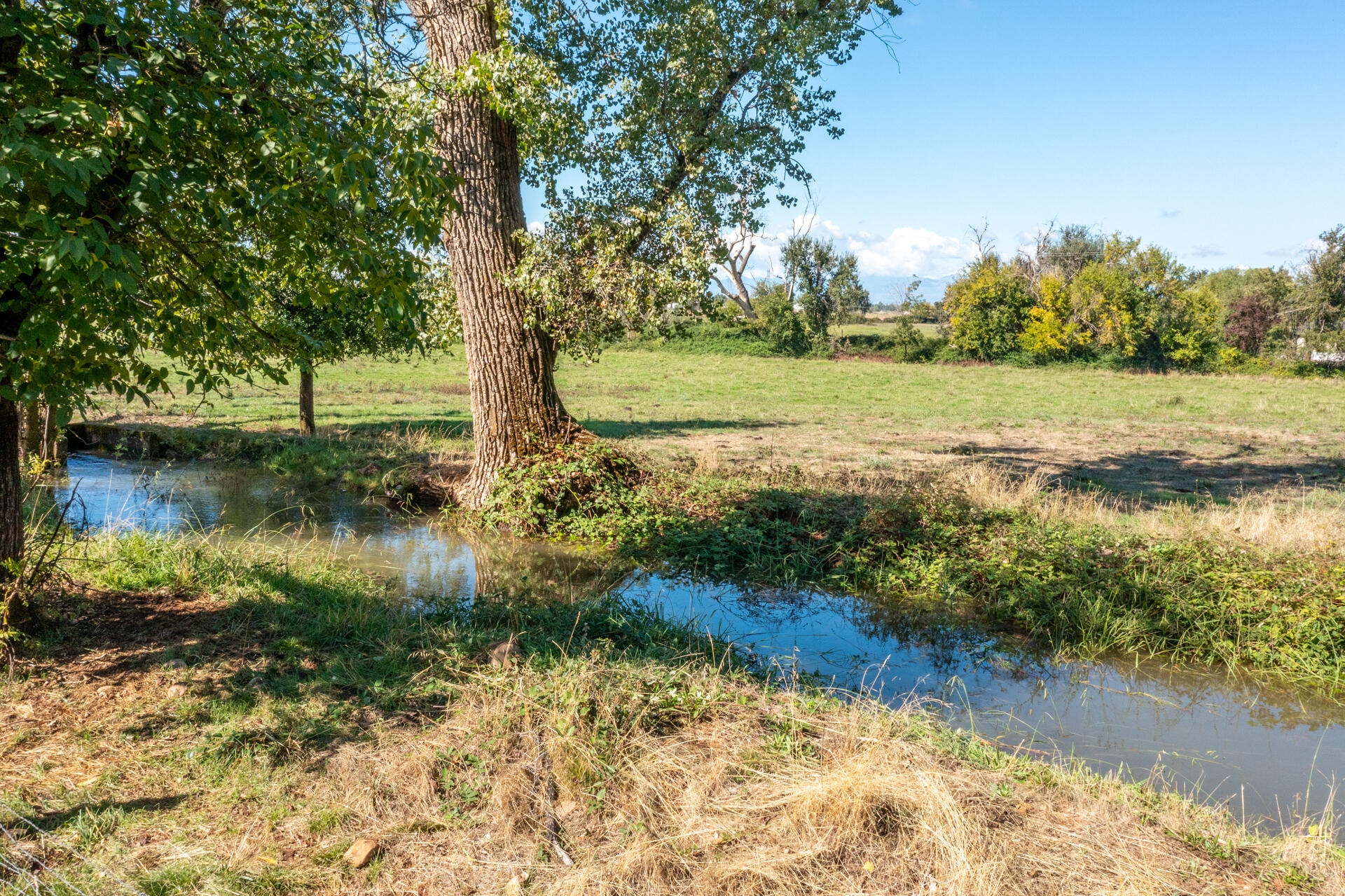 4832 Balls Ferry Road Anderson, CA 96007 - Photo 5 of 51 a view of a lake with a yard and large trees