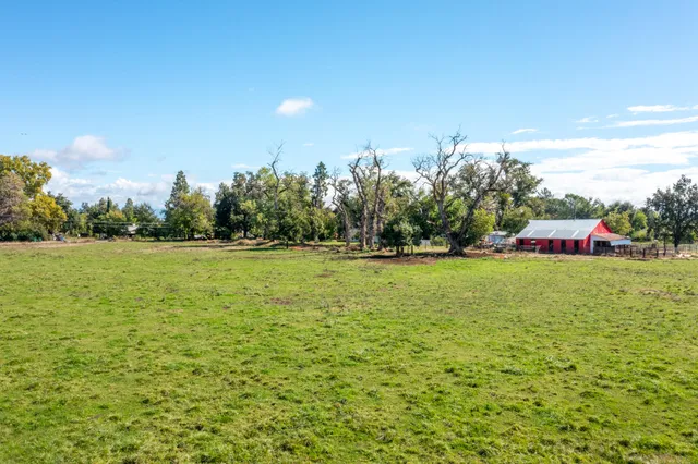 a green field with lots of tress in it
