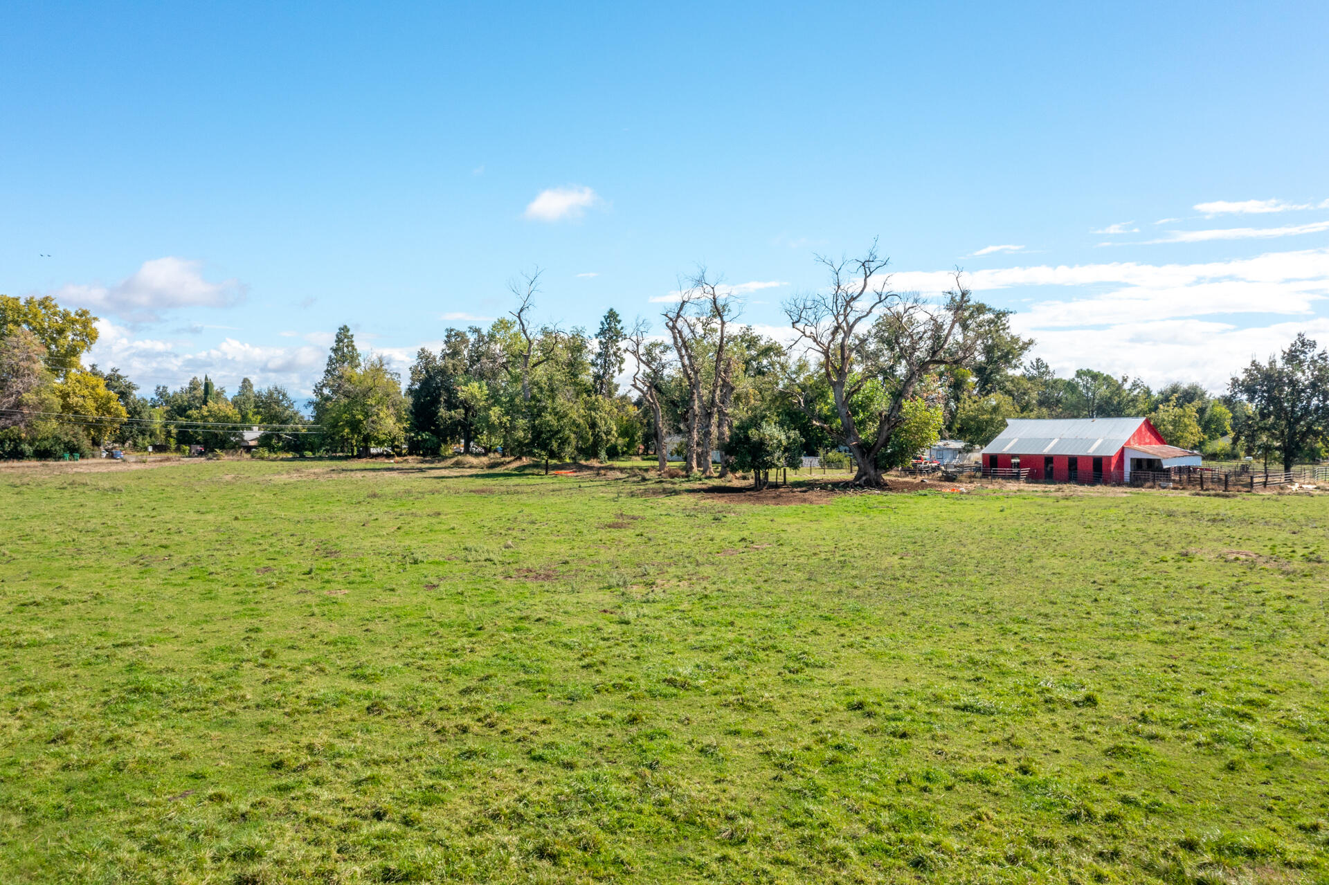 4832 Balls Ferry Road Anderson, CA 96007 - Photo 7 of 51 a green field with lots of tress in it