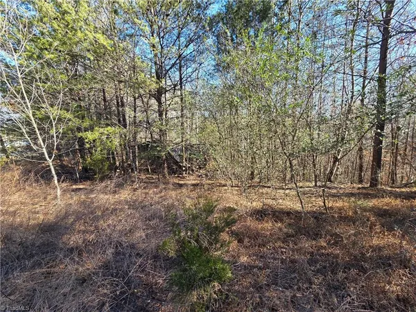 $129,900 | 268 Pinnacle Nc 27043, Pinnacle, NC 27043
