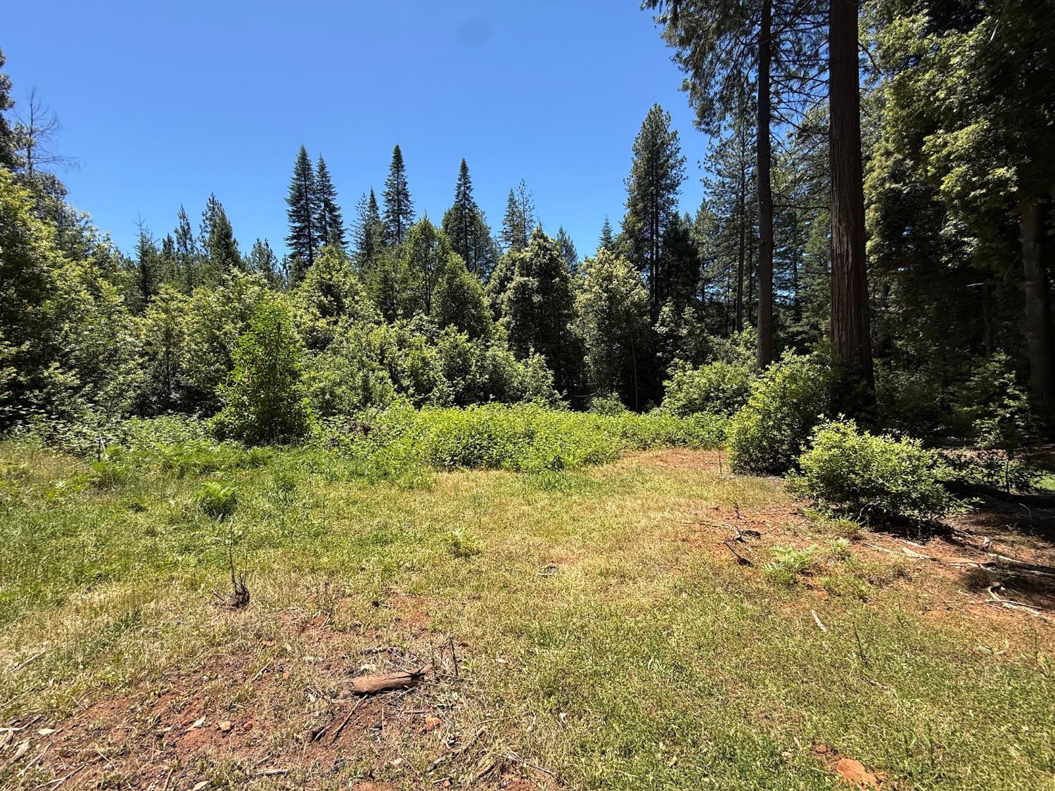 17243 Indiana Ranch Road Challenge, CA 95925 - Photo 4 of 22
