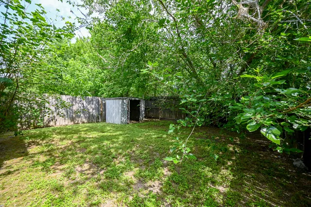 a view of a backyard