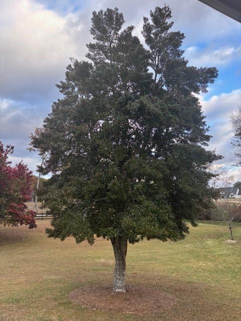 4067 Mason Creek Road Winston, GA 30187 - Photo 47 of 48 a picture of lake view