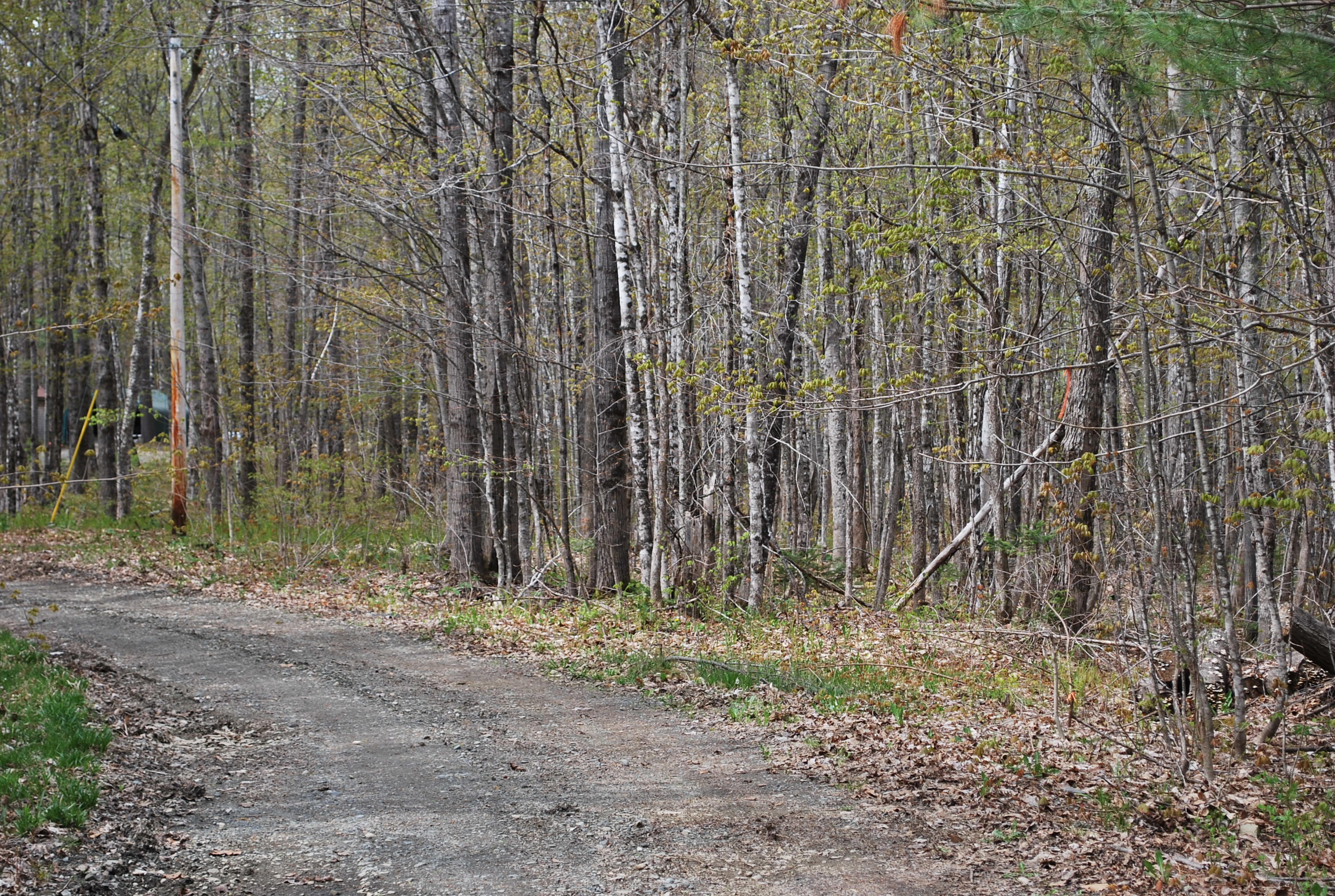 0 Anderson Road Sangerville, ME 04479 - Photo 11 of 11 Ross & Carr 011