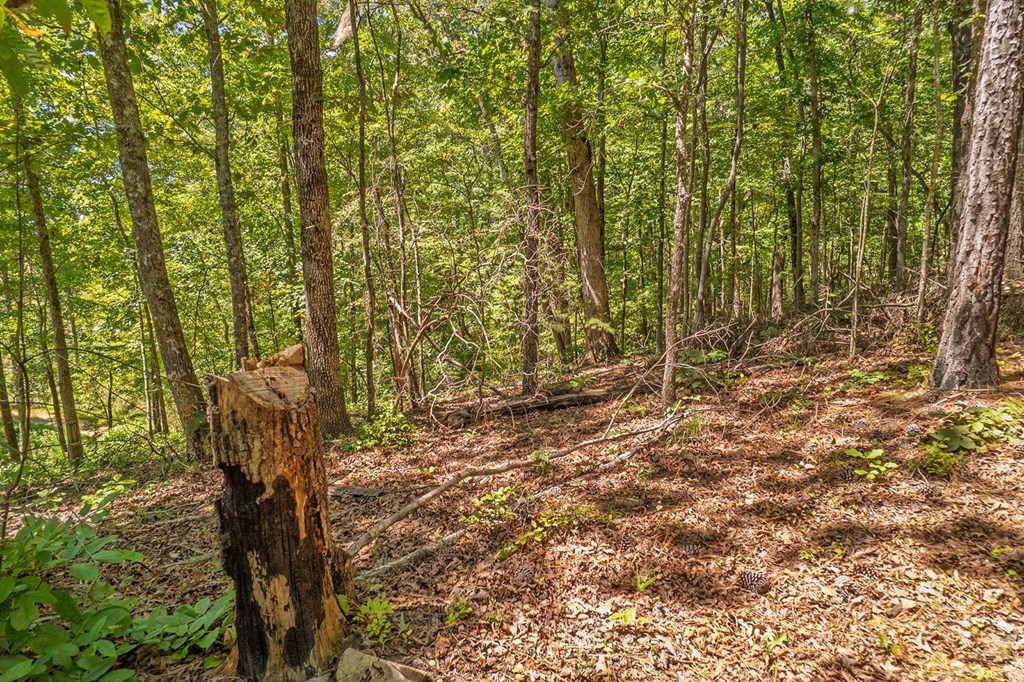 Lot 19 Harris Branch Road Ellijay, GA 30540 - Photo 11 of 15 a view of under construction area