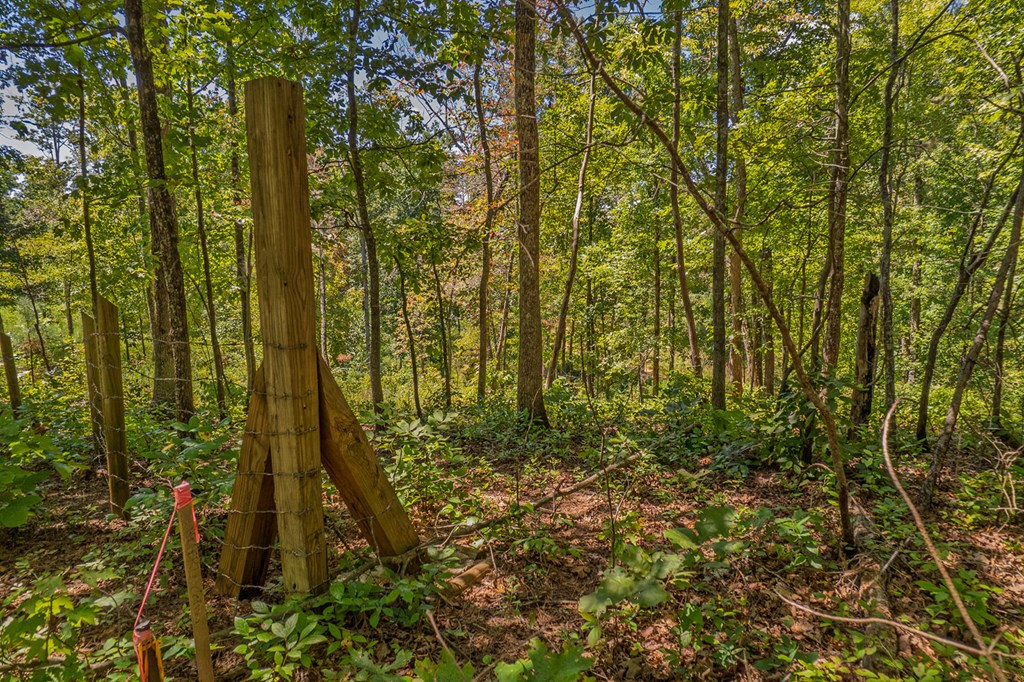 Lot 19 Harris Branch Road Ellijay, GA 30540 - Photo 14 of 15