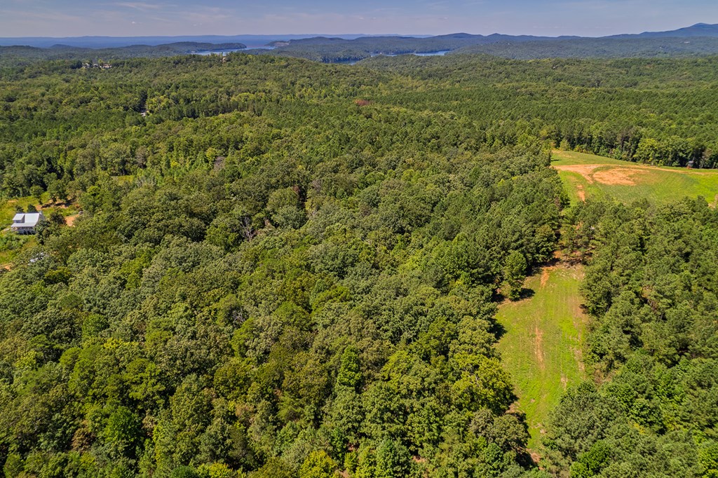 Lot 19 Harris Branch Road Ellijay, GA 30540 - Photo 3 of 15 a view of a lush green field with mountains in the background