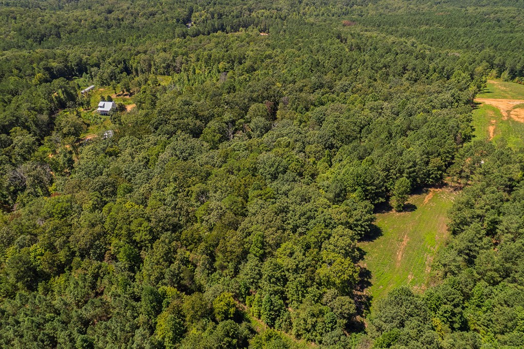 Lot 19 Harris Branch Road Ellijay, GA 30540 - Photo 6 of 15 a view of a lake with a house
