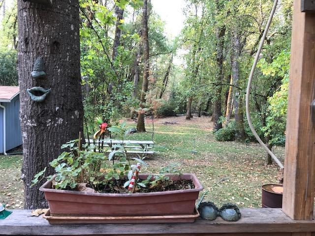 256 Earhart Road Rogue River, OR 97537 - Photo 23 of 25 IMG_8122
