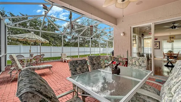 a view of a backyard with potted plants and large tree