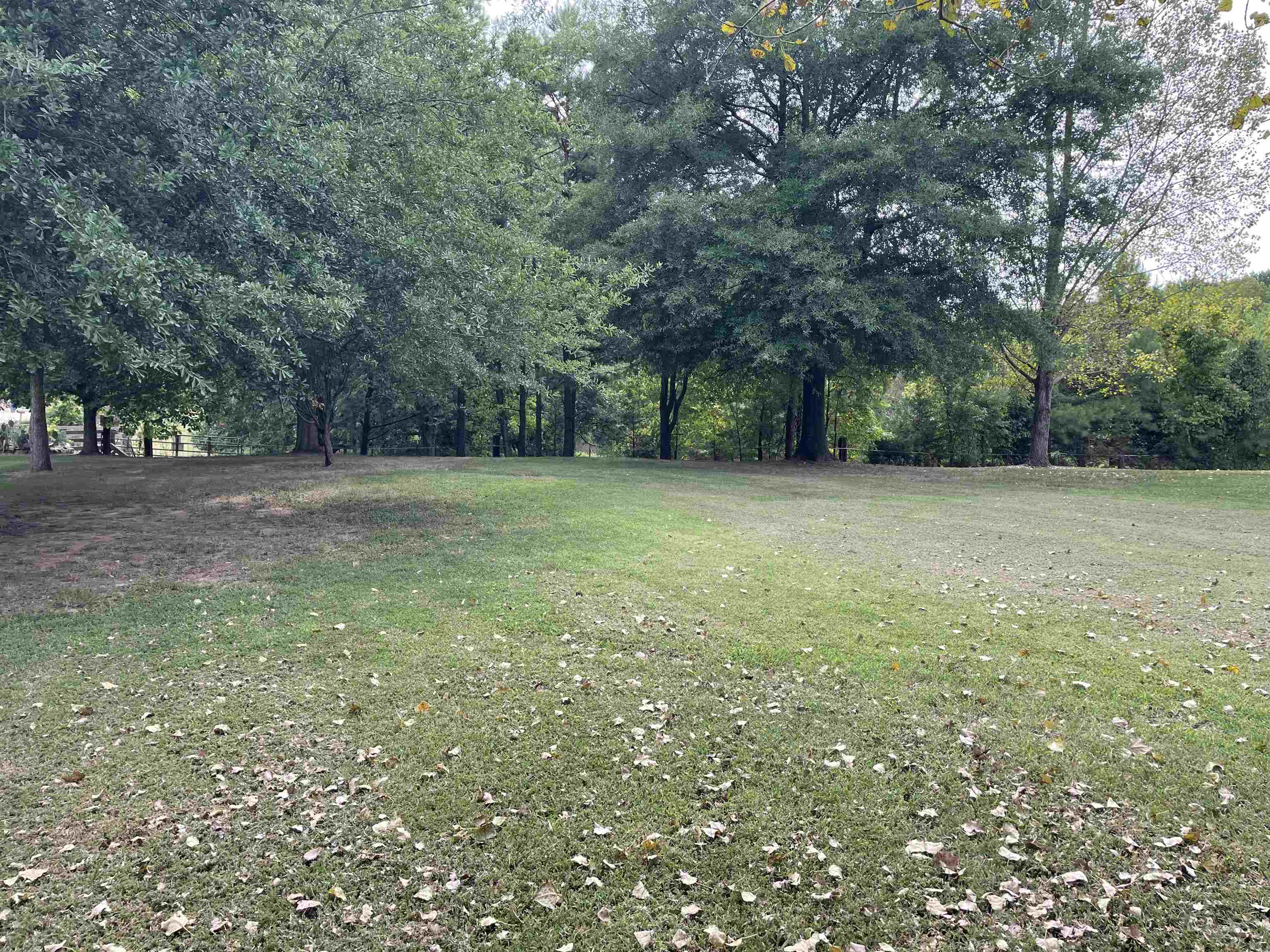 2879 Randolph Road Burlison, TN 38015 - Photo 11 of 29 View of yard