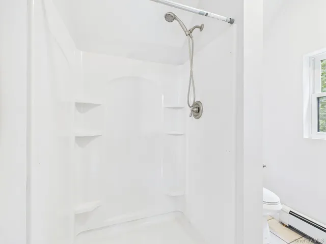 a bathroom with a shower and a toilet